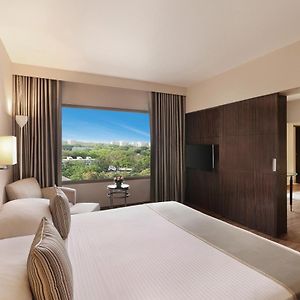 Premier Suite